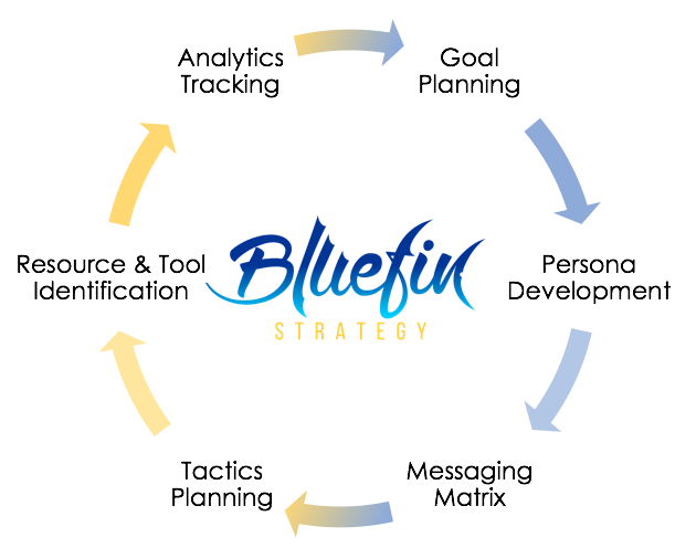 bluefin strategy digital strategy planning process