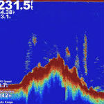 web analytics strategy