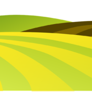 Sioux Falls, SD Digital Marketing