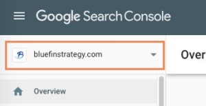Google Search Console Domain
